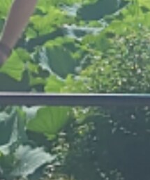 THEFT | バングル/リストバンド