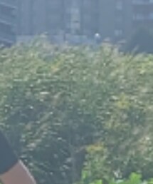 Dior | Tシャツ/カットソー