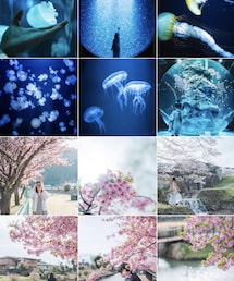 📸Instagram | その他