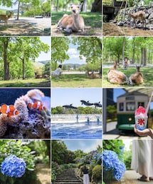 Instagram✈️ | その他