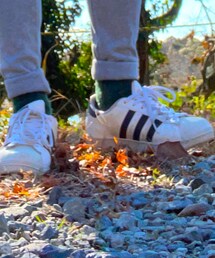 adidas | スニーカー