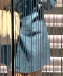 ZARA | シャツワンピース