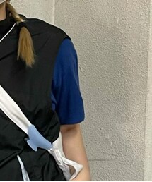 STUSSY | Tシャツ/カットソー