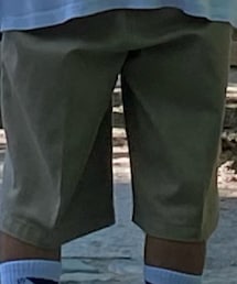 Dickies | チノパンツ