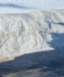 gentle monster | サングラス