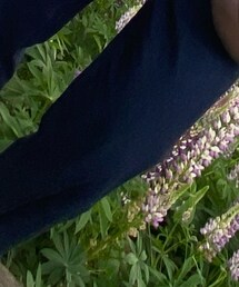 GU | デニムパンツ