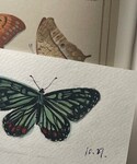DIY 🦋の「インテリア(ポスター/アート)」
