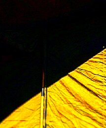 16/ft rootbase | その他