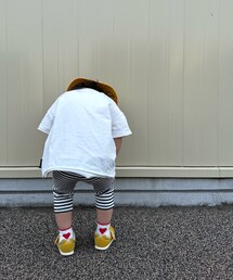 Birthday | MY LITTLE WONDER(ソックス/靴下)