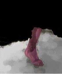 靴下屋 | ソックス/靴下
