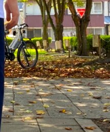 UNIQLO | デニムパンツ