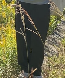 UNIQLO | スラックス