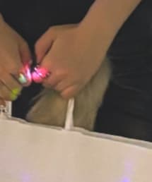 WEGO | キーホルダー