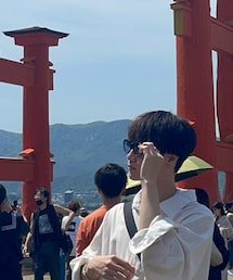 Zoff | サングラス