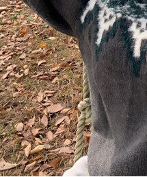 UNIQLO | スウェットパンツ