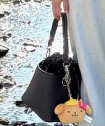 しまむら | バッグ