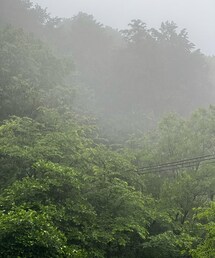 動物霊園大雨 | 福袋/福箱