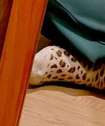 tutuanna | ソックス/靴下