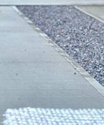 MILITARY | スニーカー