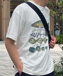 古着 | Tシャツ/カットソー