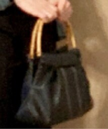 DIANA | ハンドバッグ