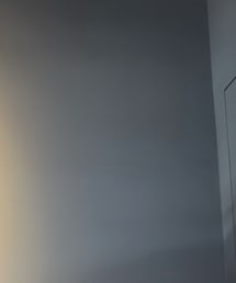 NO | サンバイザー