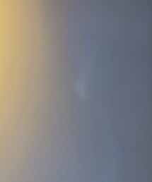 pin sktbs | シャツ/ブラウス