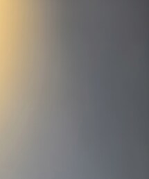 UNIQLO | シャツ/ブラウス