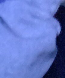 Champion | パーカー