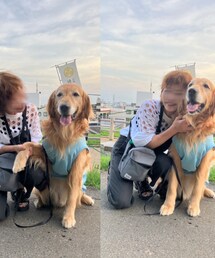 愛犬と | その他