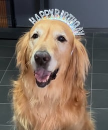 2/15、愛犬の10歳のお誕生日でした♡ | ペットウェア