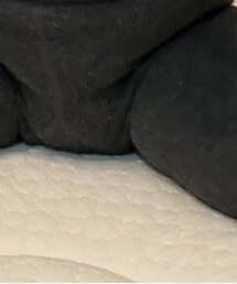 NET | パンツ