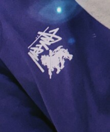 STUSSY | Tシャツ/カットソー