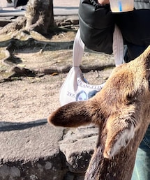 praying | ショルダーバッグ