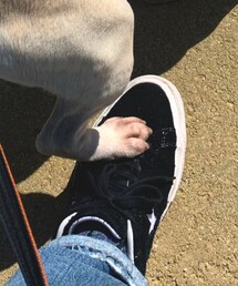 Funderuyo? | その他ペットグッズ