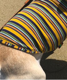 imomushi | ペットウェア