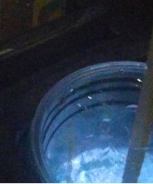 McDonalds | グラス/マグカップ/タンブラー