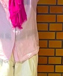 UNIQLO | シャツ/ブラウス