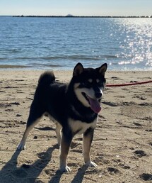 お散歩🐾 | その他