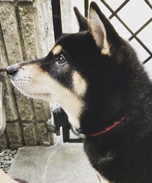 0000Lady's | その他