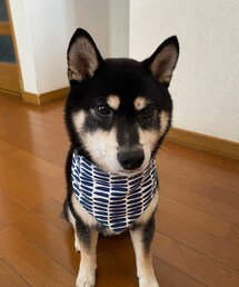 0000Lady's | その他