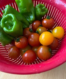 今日の収穫👩‍🌾 | その他