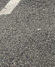 STREET | その他