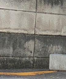 STREET | その他