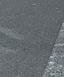 STREET | その他
