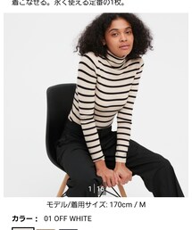 UNIQLO | えクストラファインメリノリブタートルネックセーター(ボーダー)(ニット/セーター)