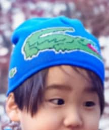 LACOSTE | ニットキャップ/ビーニー