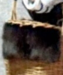 しまむら | その他