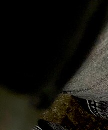 UNIQLO | ダウンジャケット/コート