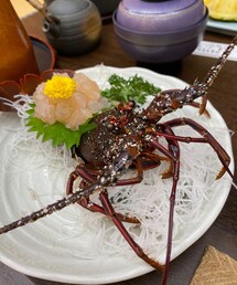 伊勢海老 | その他